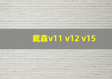 戴森v11 v12 v15